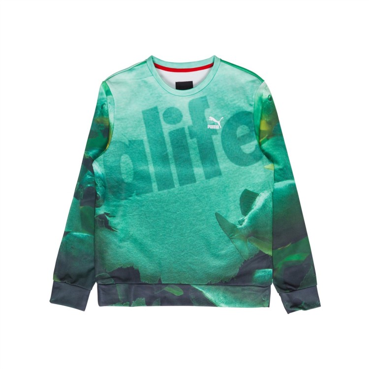 alife-fish-tank-print-sweatshirt