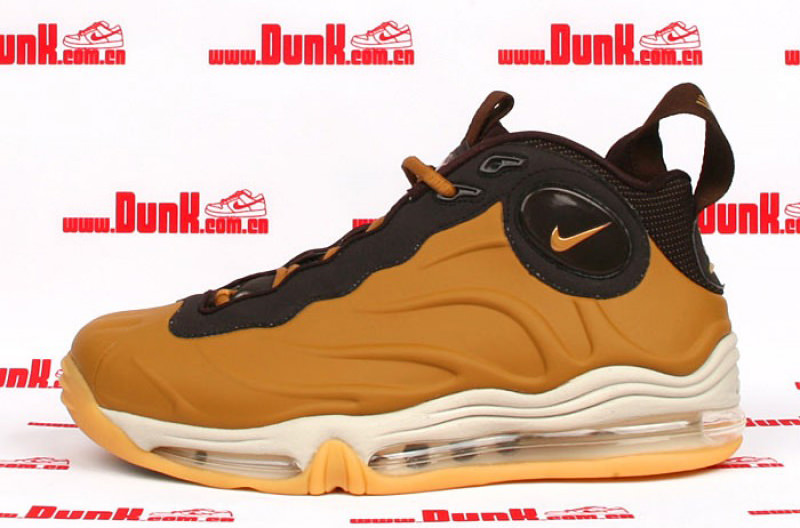 Nike Total Air Foamposite Max Wheat/Brown