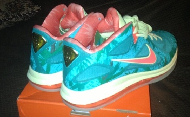 nike lebron 9 low lebronold palmer price