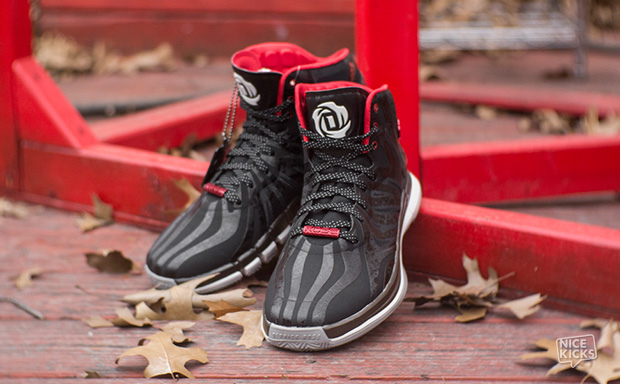 d rose 4.5 shoes