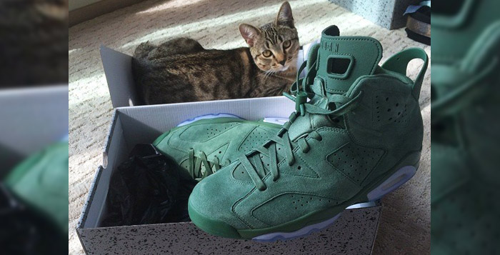 air jordan 6 macklemore