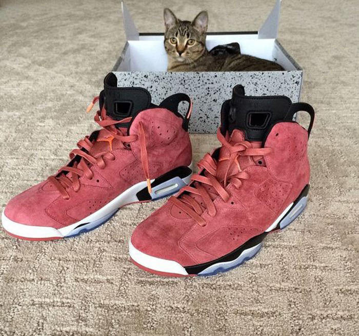 Air Jordan 6 Macklemore PE Clay Suede