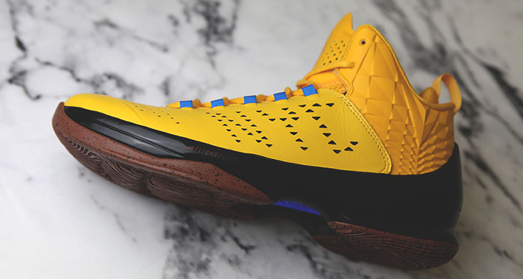 Public School x Jordan Melo M11 