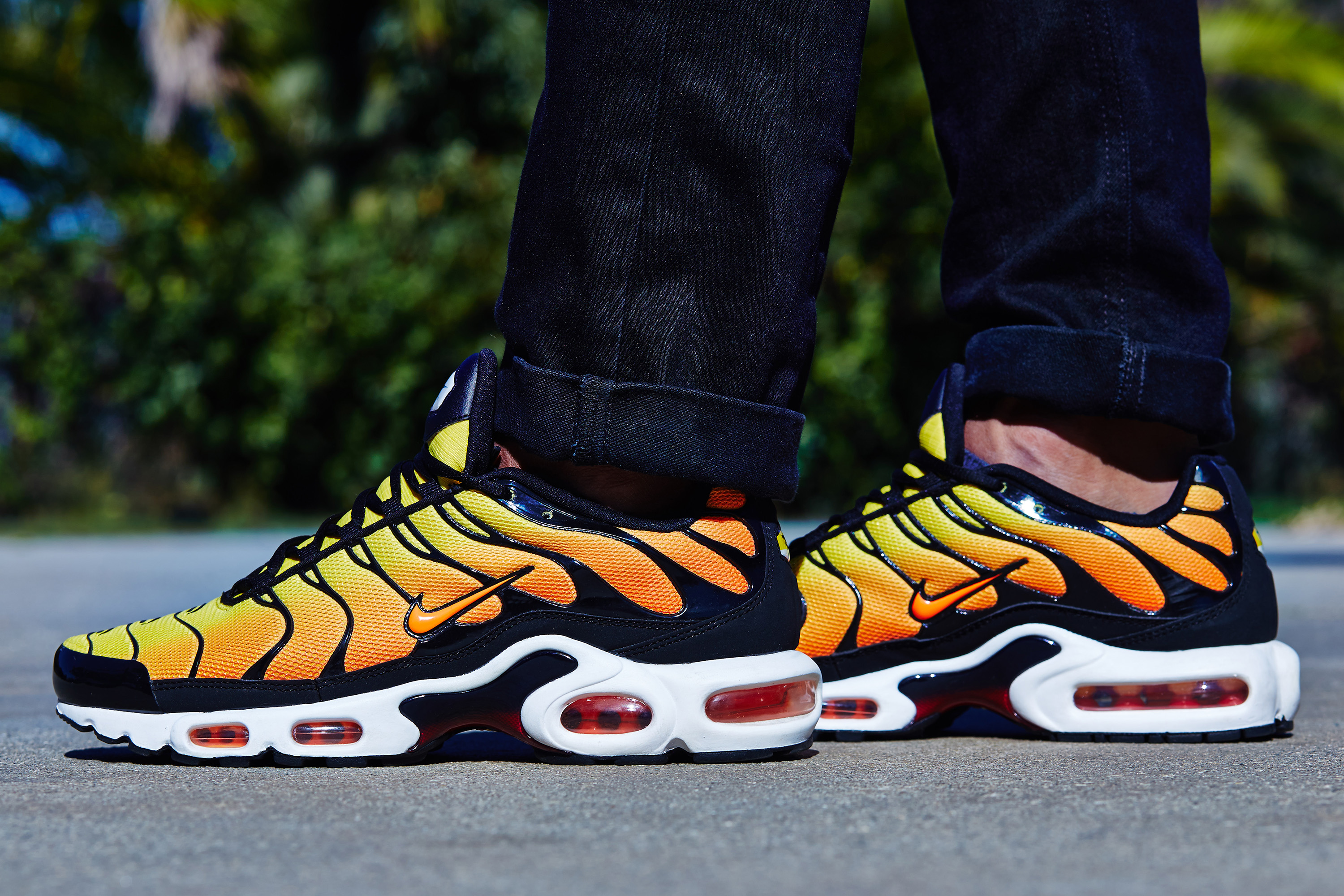 tiger air max plus