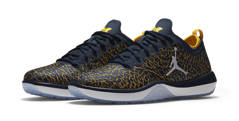 Jordan Trainer 1 Low Michigan