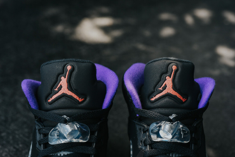 Air Jordan 5 Raptors