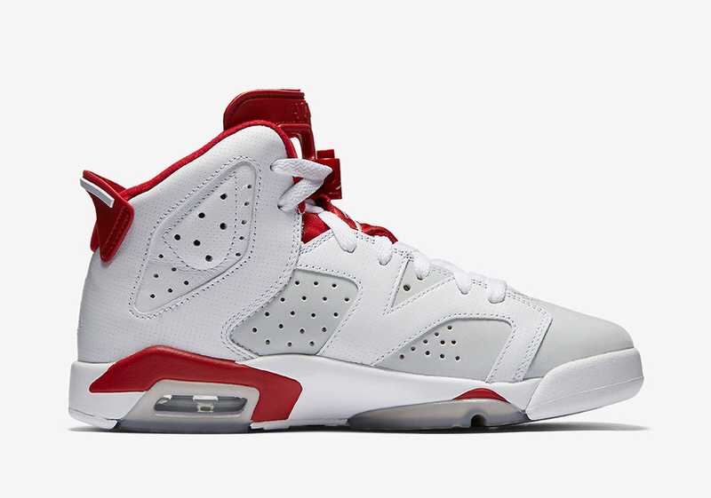 Air Jordan 6 "Alternate"