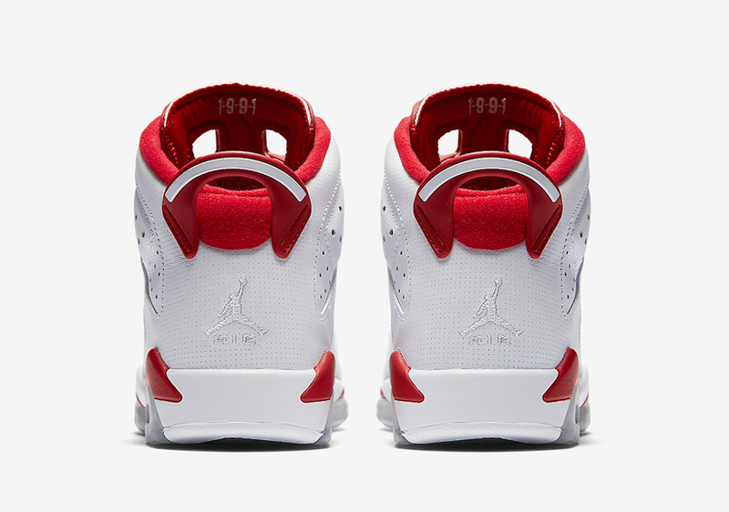 Air Jordan 6 "Alternate"