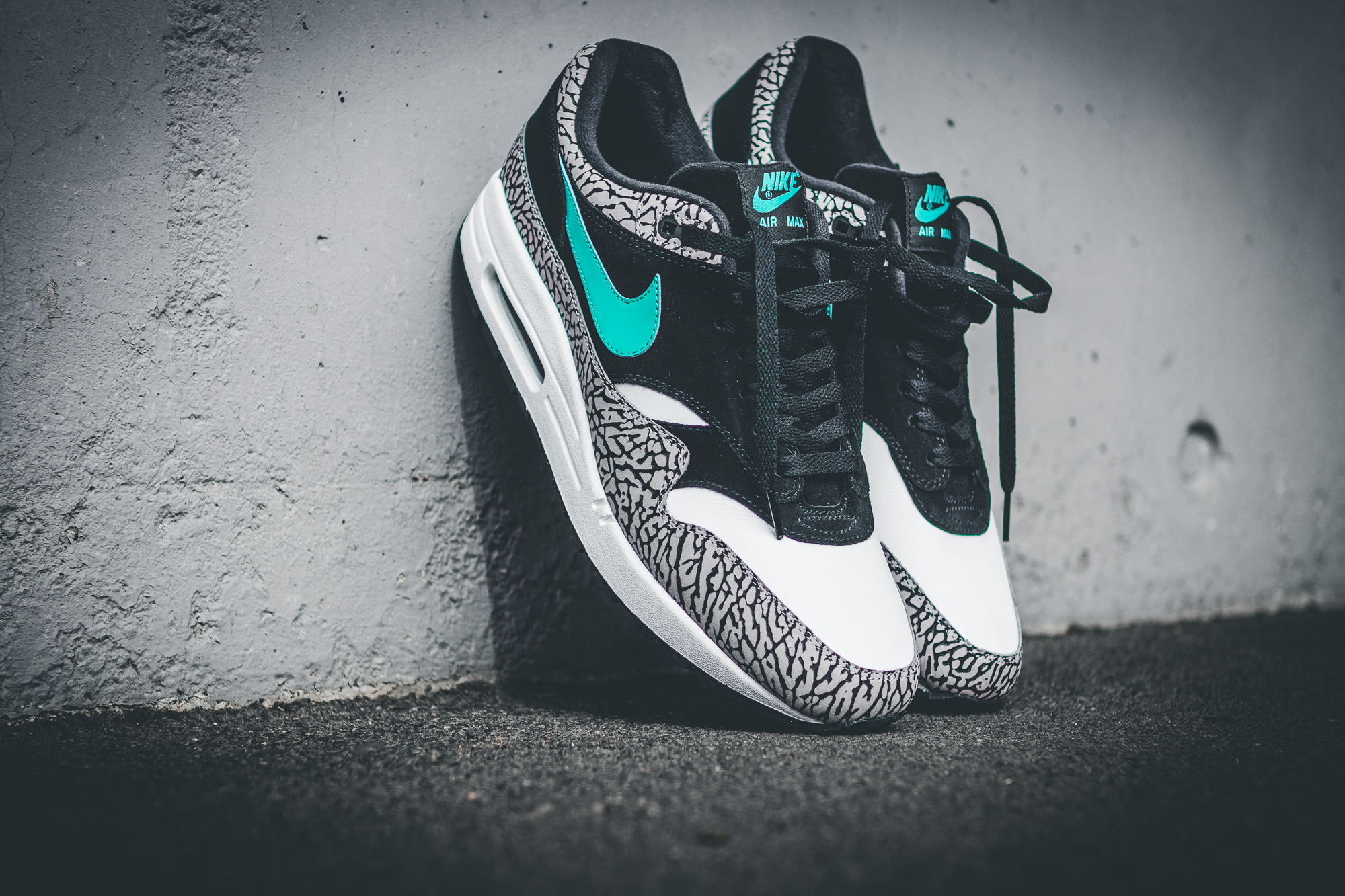 atmos x Nike Air Max 1 "Elephant"