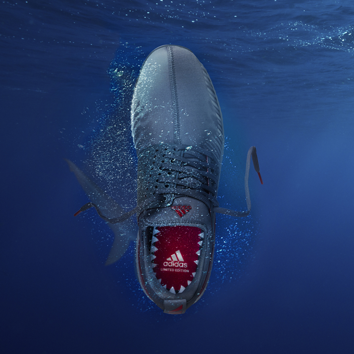 adidas adicross Bounce Niuhi