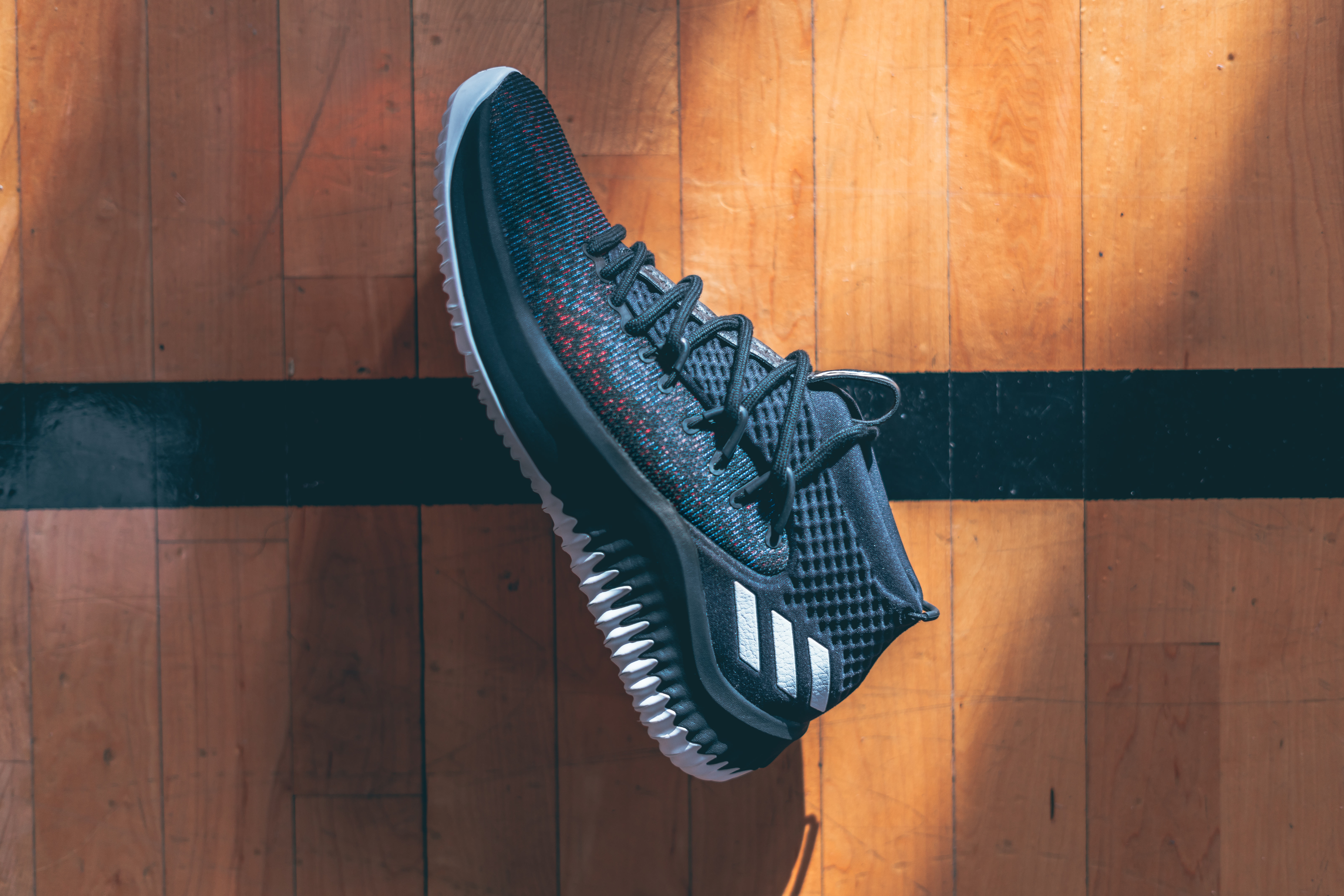 adidas DAME 4 "Static"