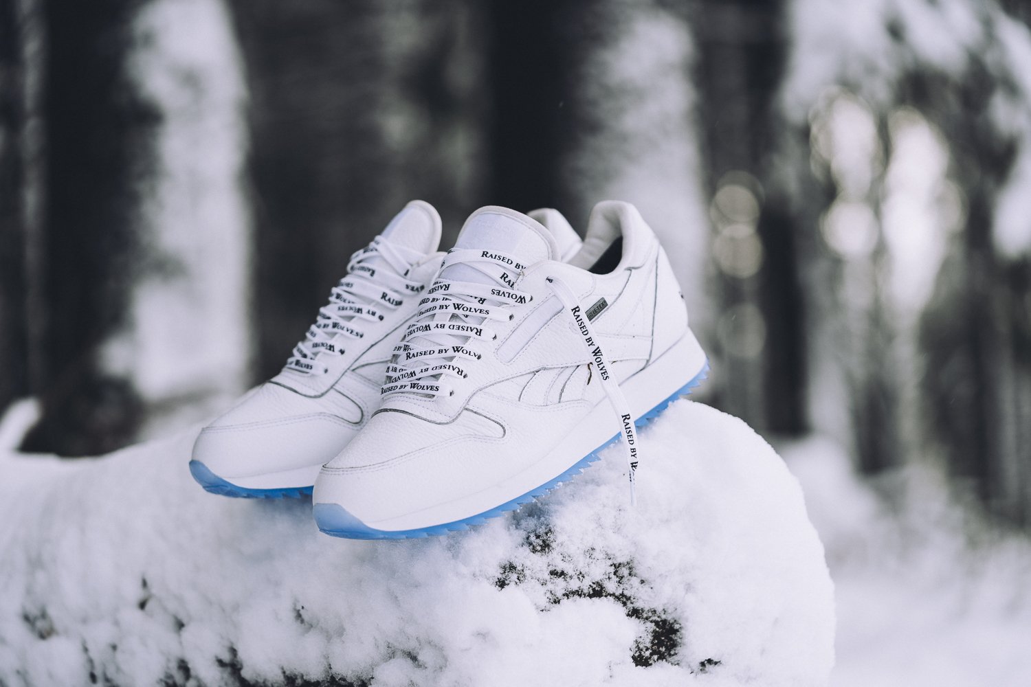 Raised By Wolves x Reebok Classic Ripple Gore-Tex Pack