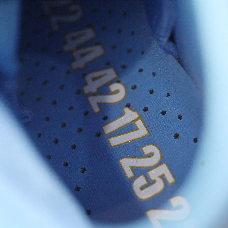 Nike Zoom Kobe 1 Protro "MPLS"