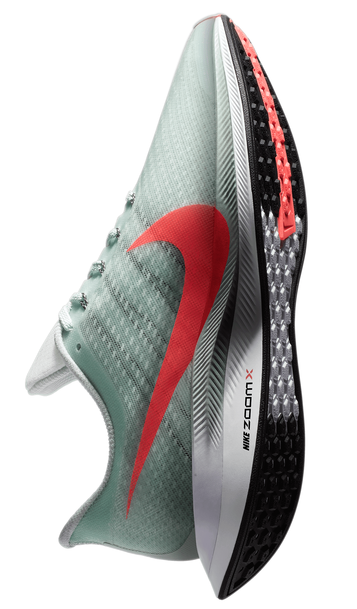 nike pegasus turbo zoom 2