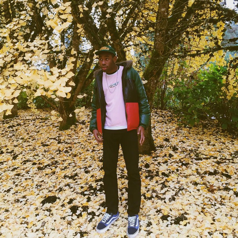 The flower inspiration behind Tyler the Creator's Golf le Fleur x Converse collection is finally evident. The shades of red and pink add some nice contrast to the otherwise fairly neutral look.