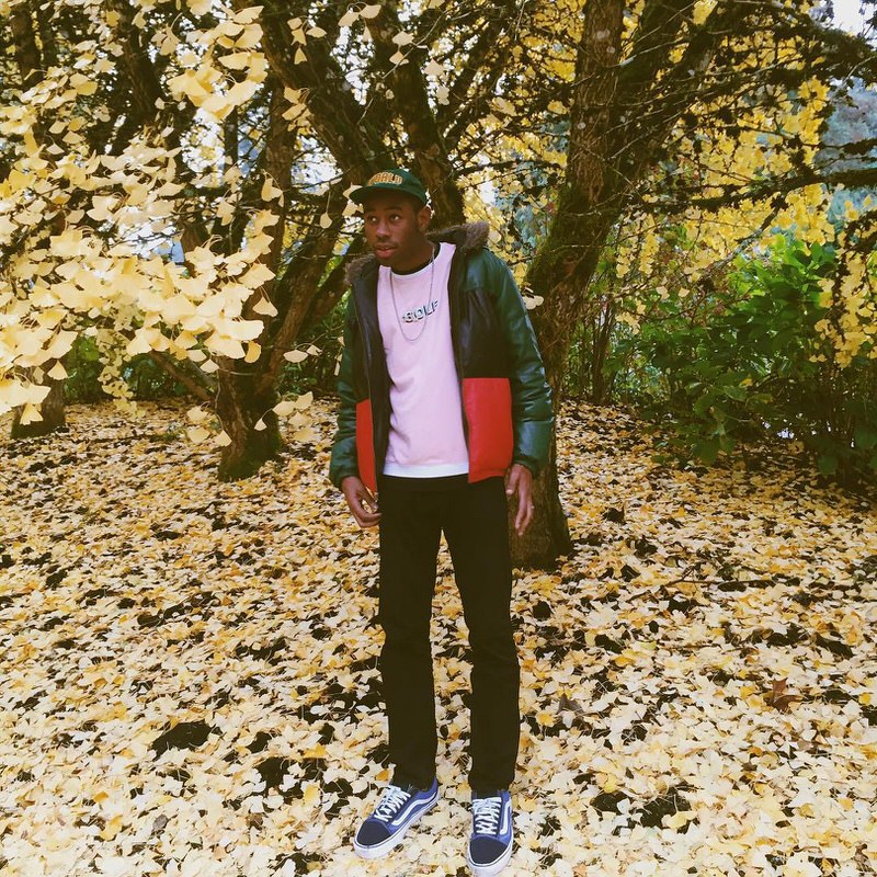 The flower inspiration behind Tyler the Creator's Golf le Fleur x Converse collection is finally evident. The shades of red and pink add some nice contrast to the otherwise fairly neutral look.