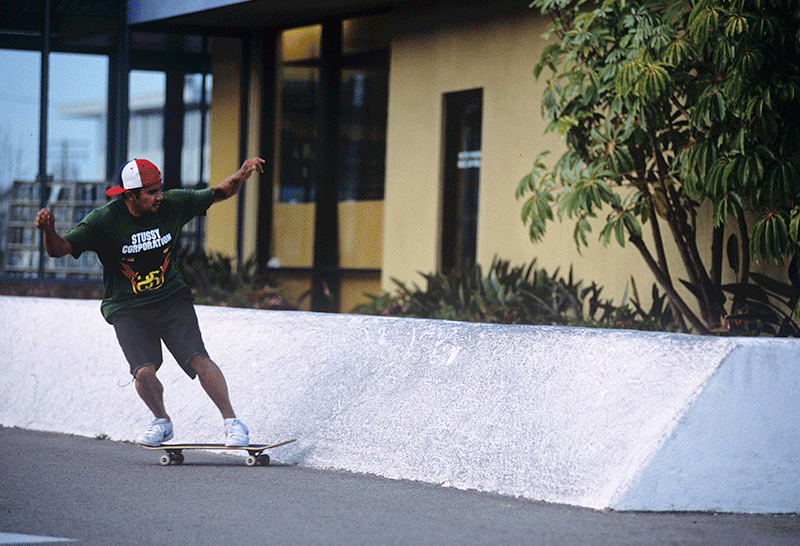 Richard Mulder with a Backside Bluntside Fakie in his signature colorway of the Dunk Low.