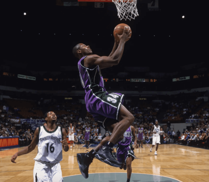 jordan 7 ray allen