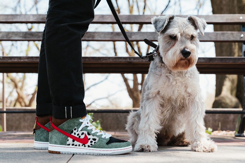 Another Look at the Nike SB Dunk High Dog Walker