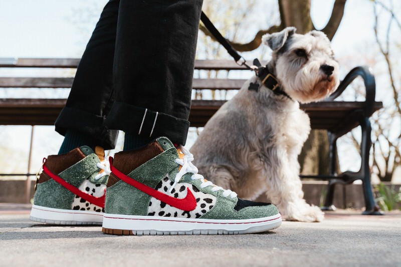 dog walker dunks