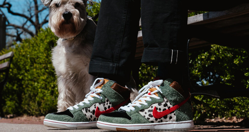 nike sb walk the dog