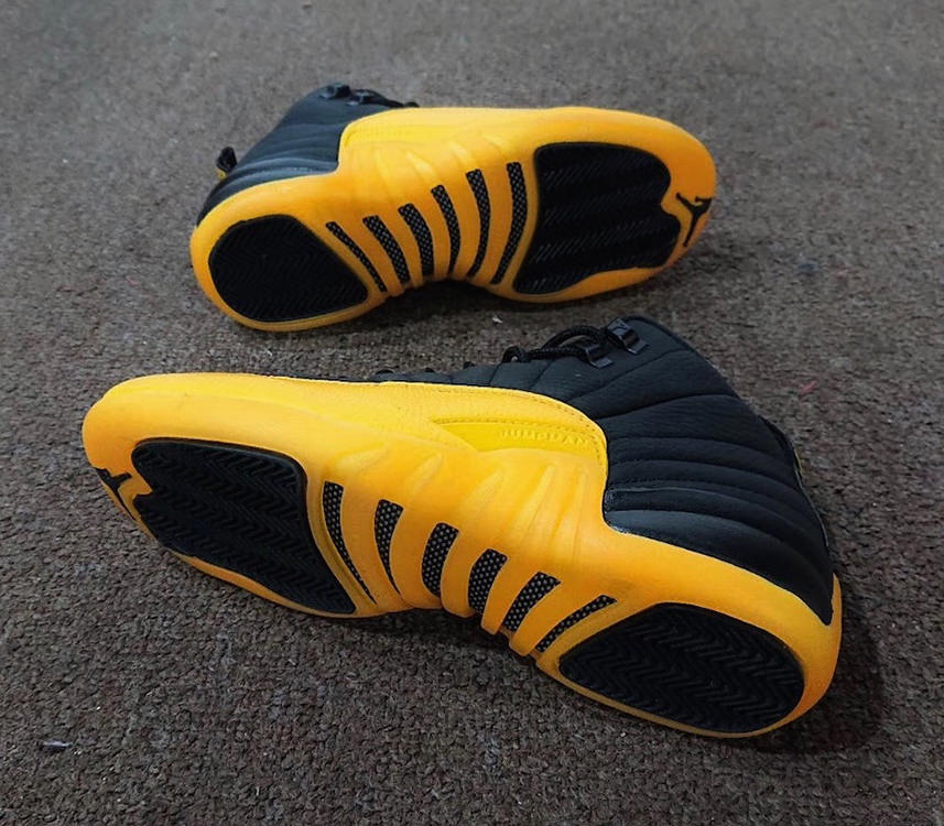 university gold 12 release date