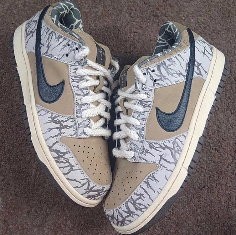 travis scott x nike sb dunk low cactus jack sample