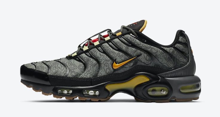 nike-air-max-plus-fresh-perspective-spiral-sage-black-smoke-grey-university-gold-DC7392-300