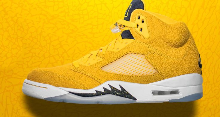 Air Jordan 5 University of Michigan PE