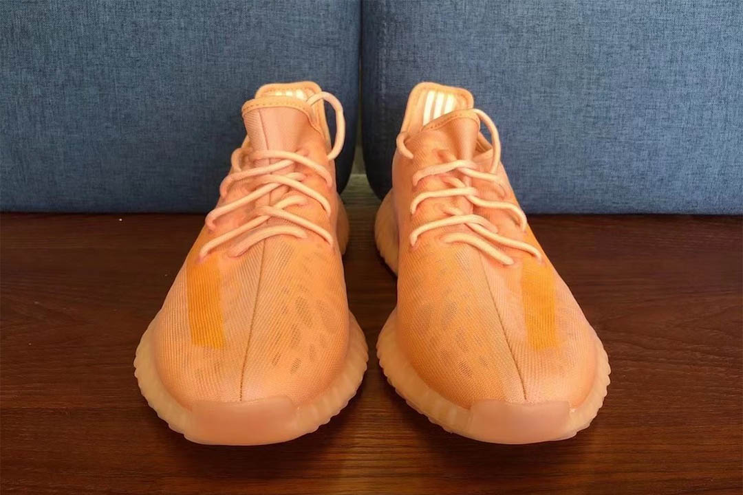 adidas Yeezy 350 V2 Mono Clay 03