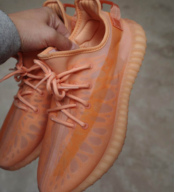 adidas Yeezy 350 V2 Mono Clay 10 678x750