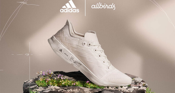Allbirds x adidas FUTURECRAFT.FOOTPRINT
