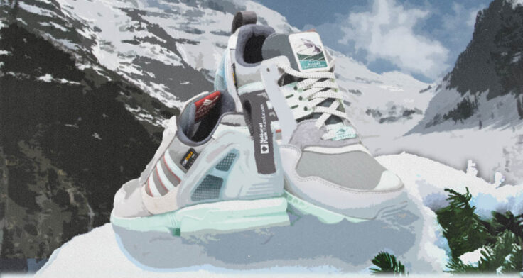 National Park Foundation x adidas ZX 9000 "Glacier" FY5172
