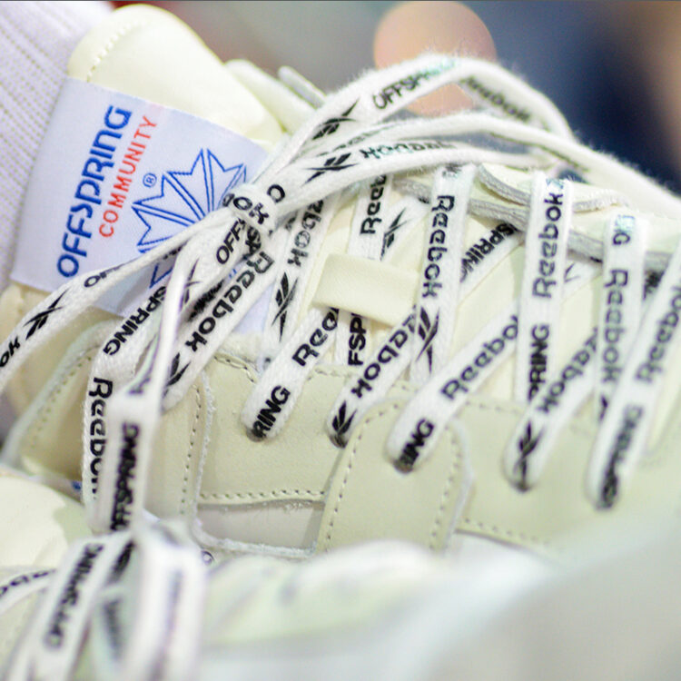 Offspring x Reebok Workout Plus Ice