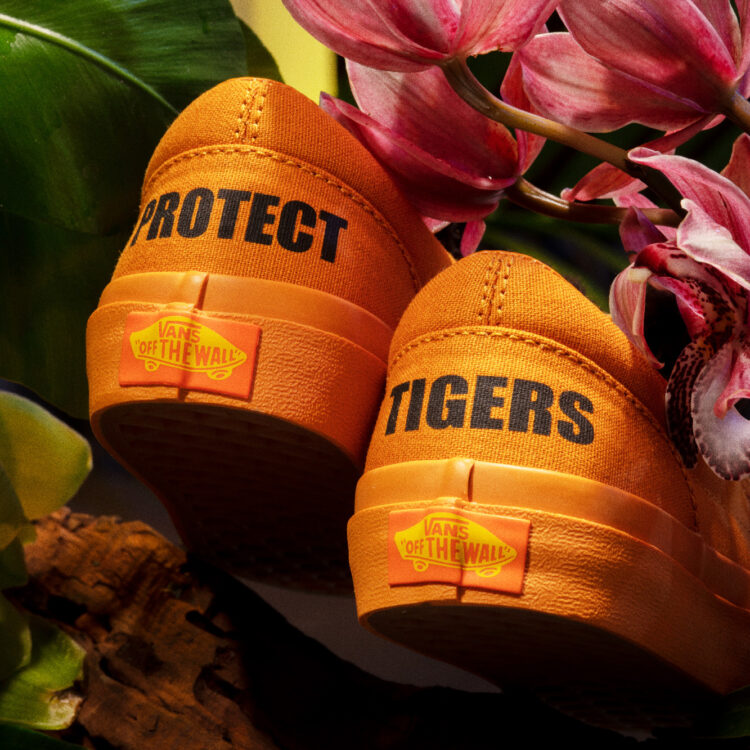 Vans x Project CAT