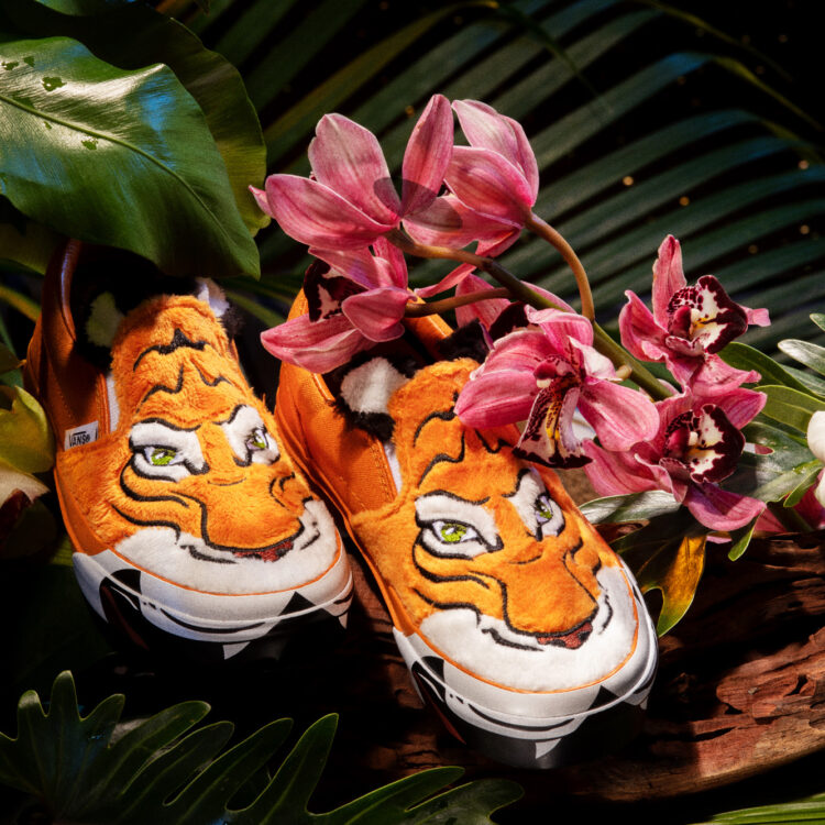 Vans x Project CAT