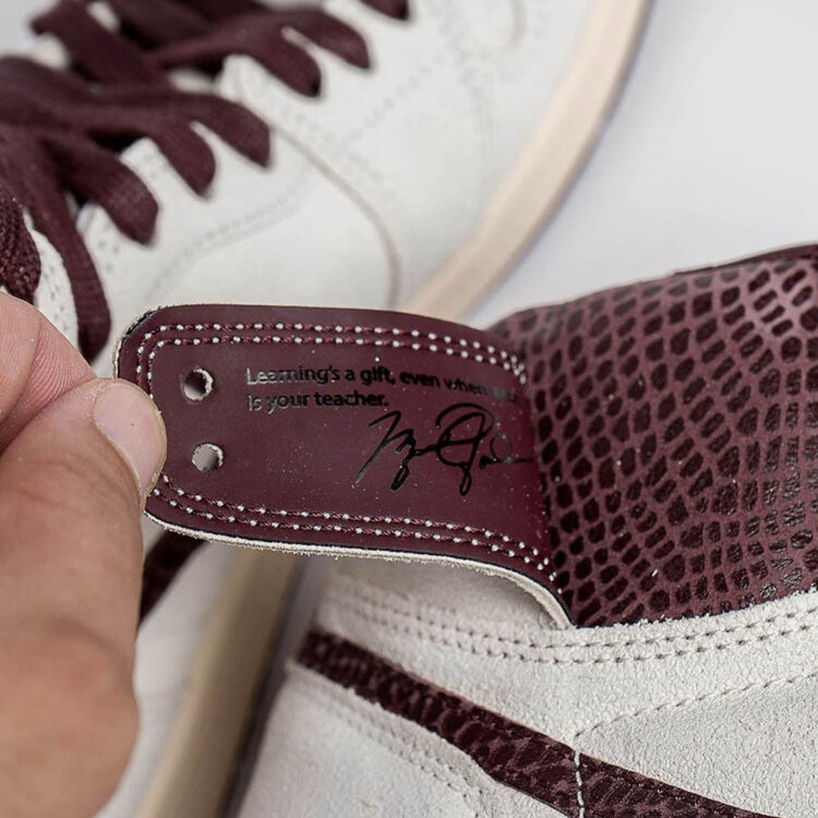 Here is our first complete look at the Air Jordan erscheint V Premio BIN 23