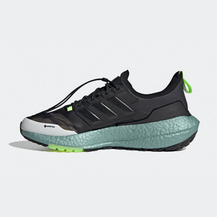 ultraboost 21 gore tex