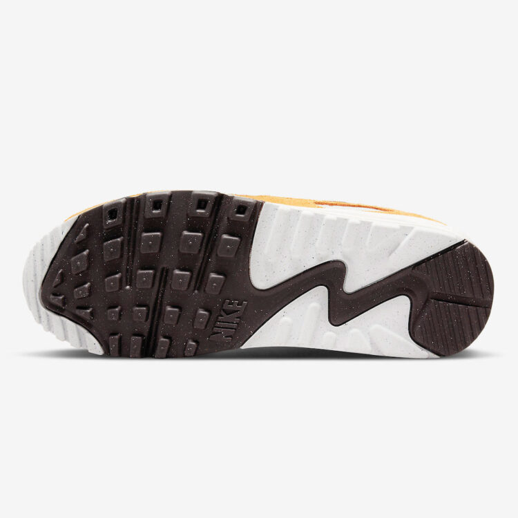 Nike Air Max 90 WMNS “Leopard” DQ9316-001