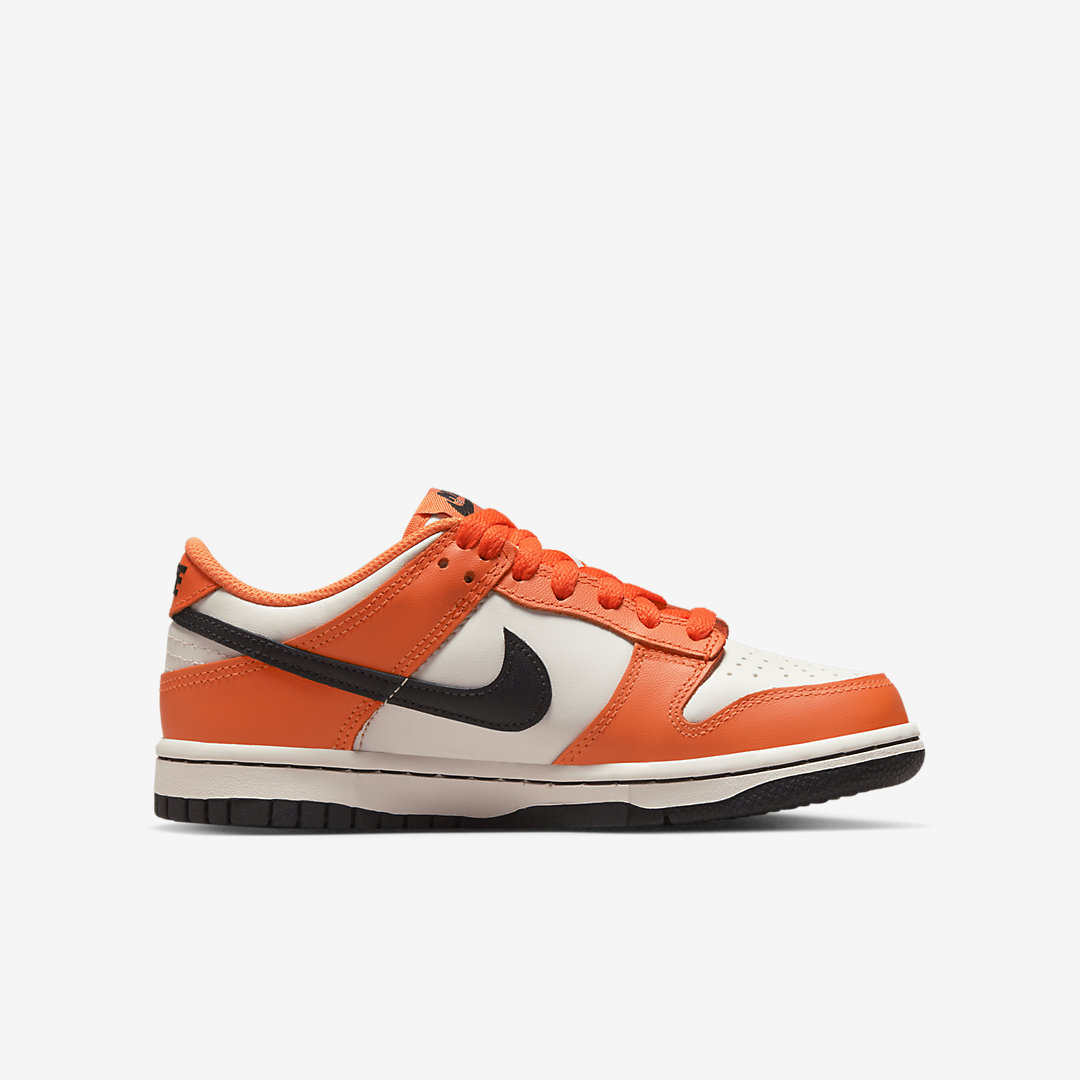 Nike Dunk Low GS DH9765-003