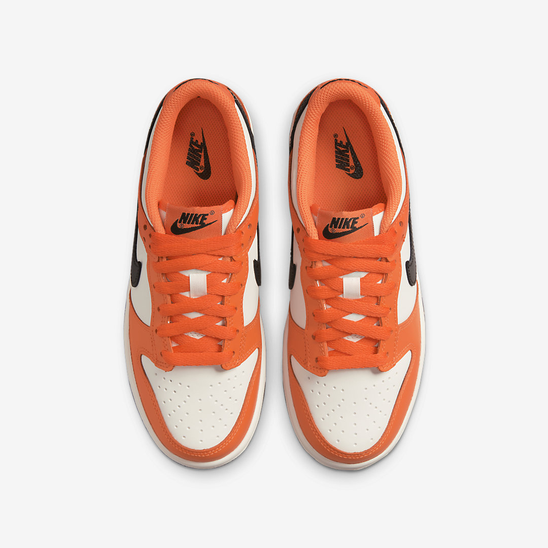Nike Dunk Low GS DH9765-003