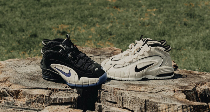 Nike supinador 2025