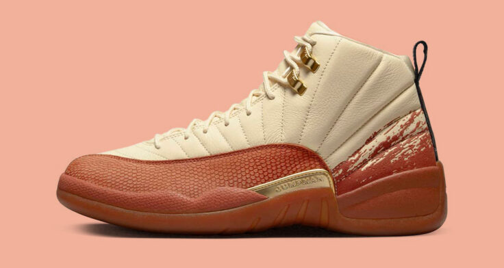 new jordan12