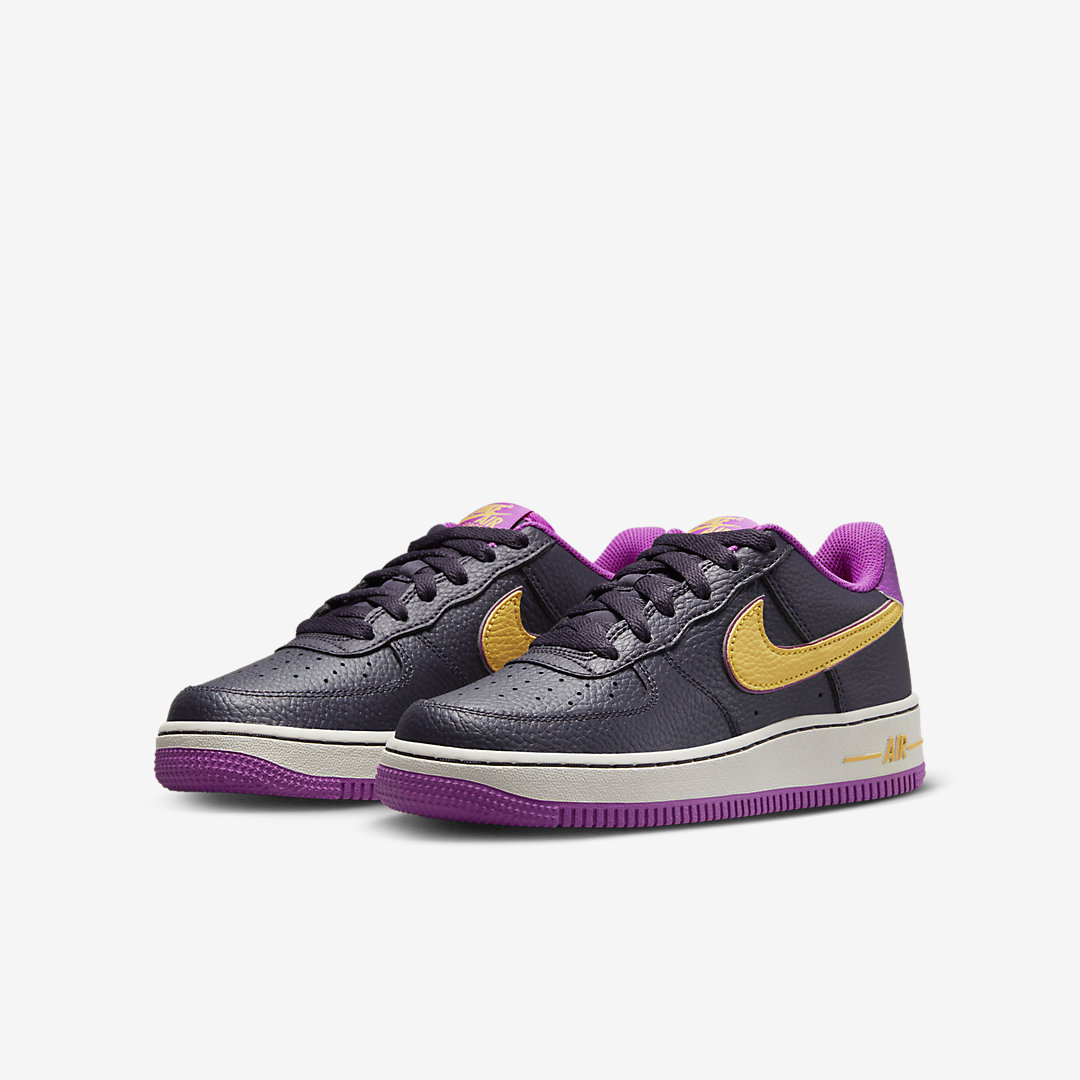Nike Air Force 1 Low GS DX5805-500