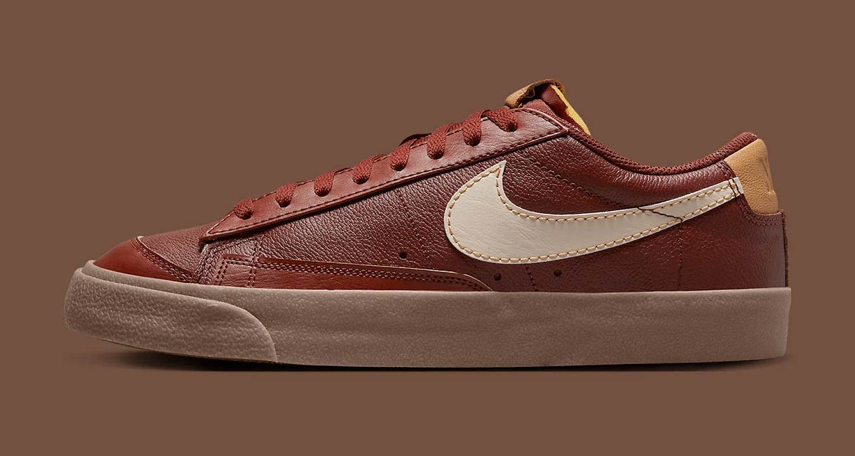 Nike SB Blazer Low "Inspected By Swoosh" DQ7670-200