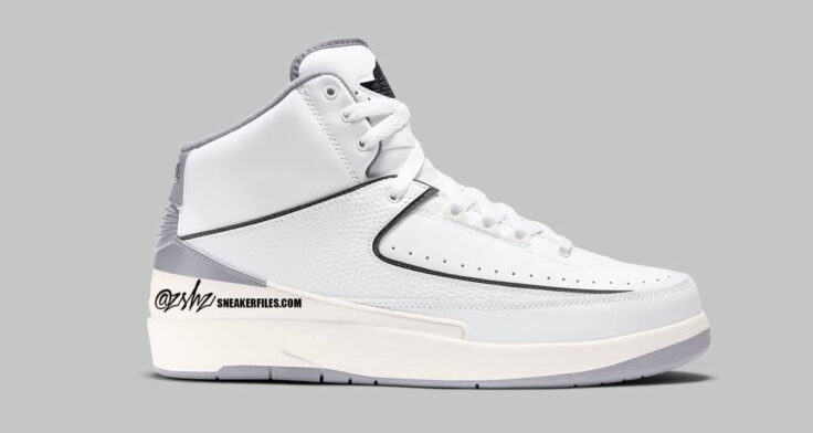 Air Jordan Nike 2 Retro "Neurtral Grey" DR8884-100