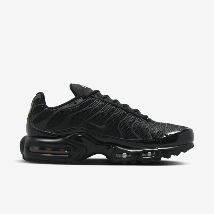 Nike Air Max Plus FB8479-001 