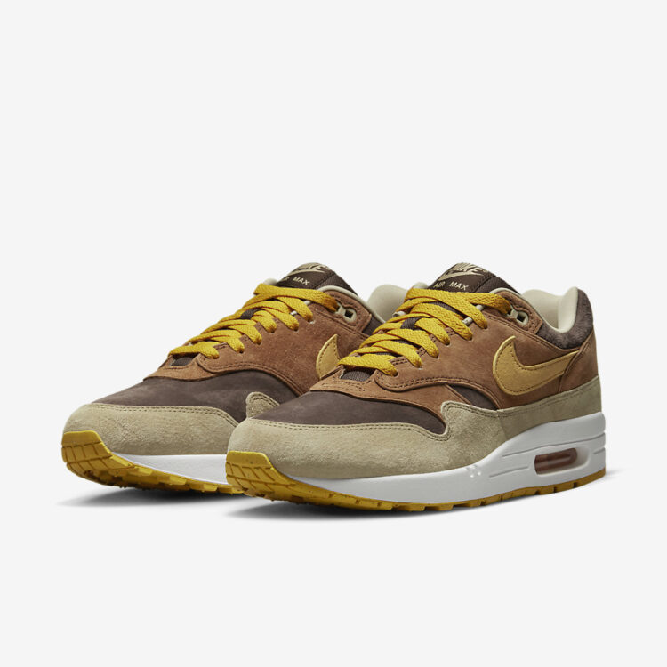 Nike Air Max 1 "Ugly Duckling" DZ0482-200