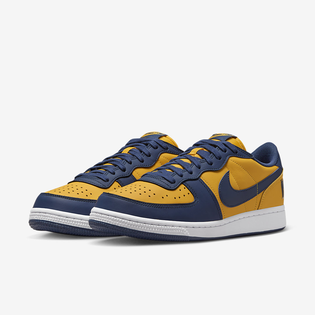 Nike Terminator Low Michigan FJ4206 700 02