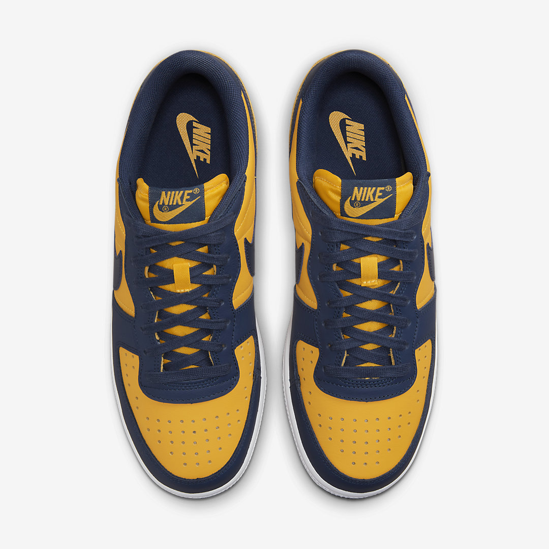 Nike Terminator Low Michigan FJ4206 700 05